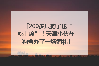 200多只狗子也“吃上席”！天津小伙在狗舍办了一场婚礼