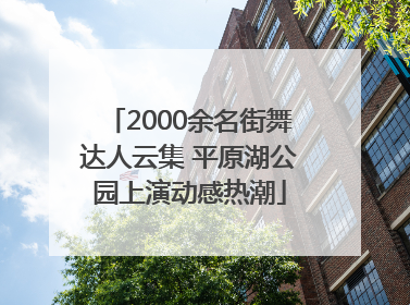 2000余名街舞达人云集 平原湖公园上演动感热潮