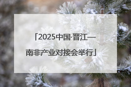 2025中国·晋江—南非产业对接会举行