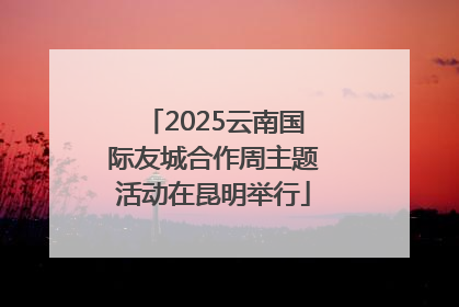2025云南国际友城合作周主题活动在昆明举行