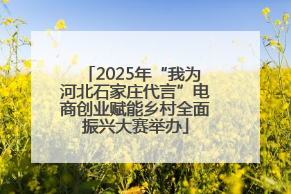 2025年“我为河北石家庄代言”电商创业赋能乡村全面振兴大赛举办