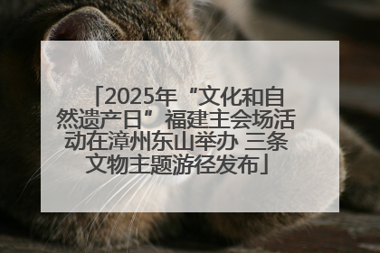 2025年“文化和自然遗产日”福建主会场活动在漳州东山举办 三条文物主题游径发布