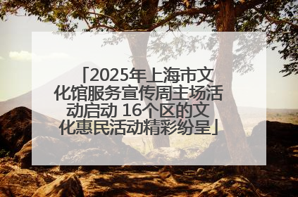 2025年上海市文化馆服务宣传周主场活动启动 16个区的文化惠民活动精彩纷呈