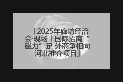 2025年廊坊经洽会·现场丨国际招商“磁力”足 外商争相向河北推介项目