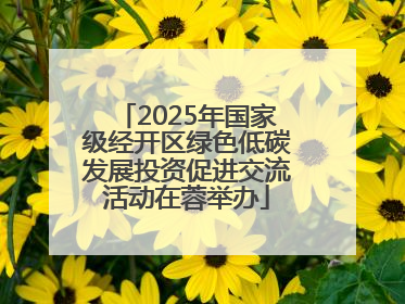 2025年国家级经开区绿色低碳发展投资促进交流活动在蓉举办
