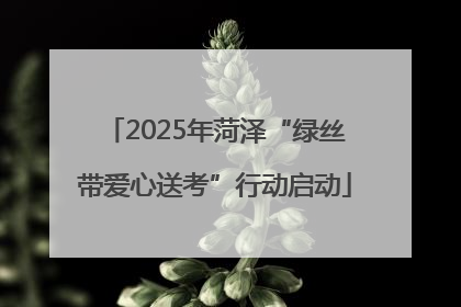 2025年菏泽“绿丝带爱心送考”行动启动
