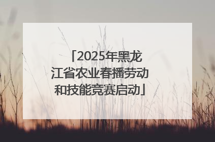 2025年黑龙江省农业春播劳动和技能竞赛启动