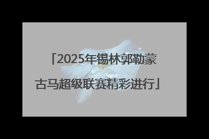 2025年锡林郭勒蒙古马超级联赛精彩进行