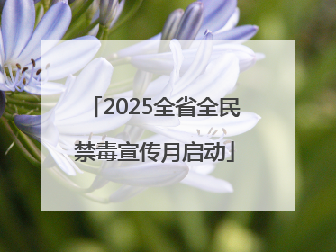 2025全省全民禁毒宣传月启动