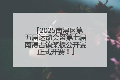 2025南浔区第五届运动会暨第七届南浔古镇桨板公开赛正式开赛！