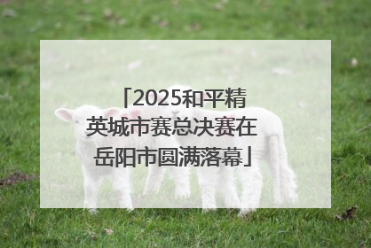 2025和平精英城市赛总决赛在岳阳市圆满落幕