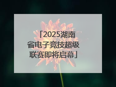 2025湖南省电子竞技超级联赛即将启幕