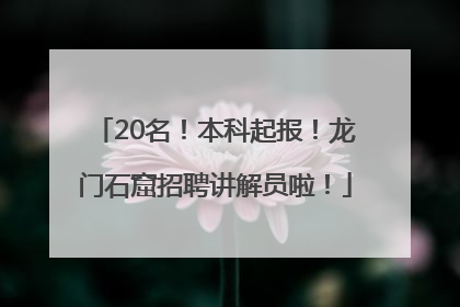 20名！本科起报！龙门石窟招聘讲解员啦！