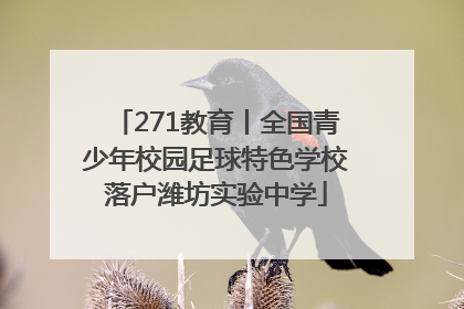 271教育丨全国青少年校园足球特色学校落户潍坊实验中学
