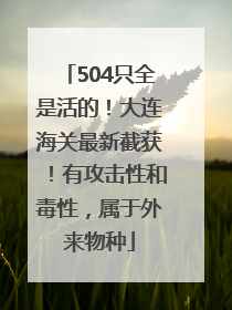 504只全是活的！大连海关最新截获！有攻击性和毒性，属于外来物种