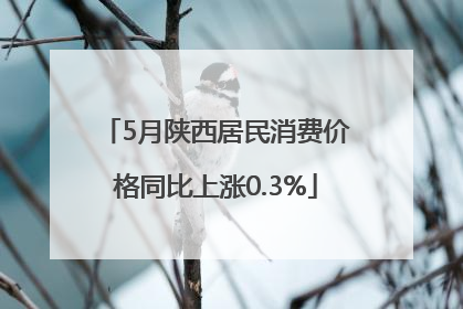 5月陕西居民消费价格同比上涨0.3%