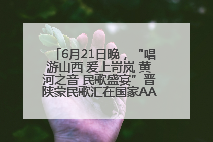 6月21日晚，“唱游山西 爱上岢岚 黄河之音 民歌盛宴”晋陕蒙民歌汇在国家AAA级景区——岢岚宋长城精彩上演