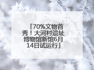 70%文物首秀！大河村遗址博物馆新馆6月14日试运行