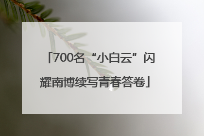 700名“小白云”闪耀南博续写青春答卷