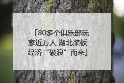 80多个俱乐部玩家近万人 湖北桨板经济“破浪”而来