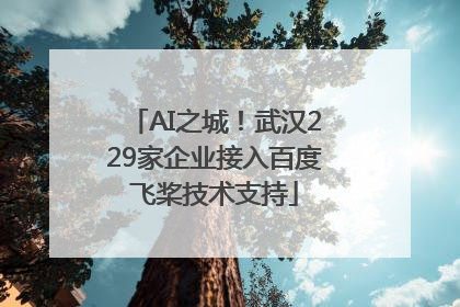 AI之城！武汉229家企业接入百度飞桨技术支持