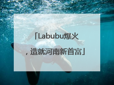 Labubu爆火，造就河南新首富