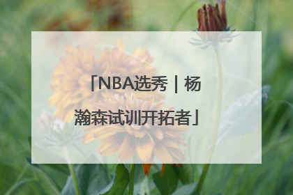 NBA选秀｜杨瀚森试训开拓者