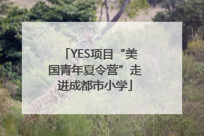 YES项目“美国青年夏令营”走进成都市小学